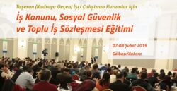 11119-0.jpg