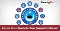 11704-0.jpg