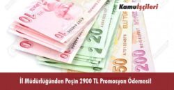 11791-0.jpg