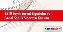 295-0.jpg