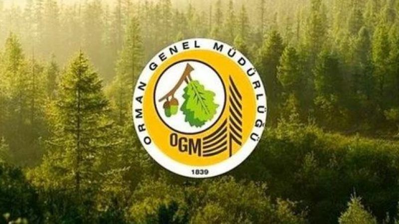 632x314-orman-genel-mudurlugu-5-bin-personel-alimi-yapacak-yangin-iscisi-basvuru-sartlari-neler-basvuru-tarihi-ne-zama-1646211655481-1648535826.jpeg