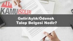 gelir-aylik-odenek-talep-belgesi-nedir.jpg