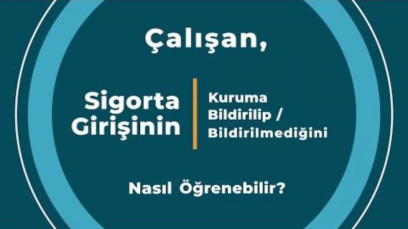 hqdefault-1646739791-1646739812.jpg