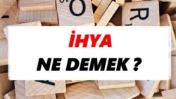 ihya-1655123227.jpg