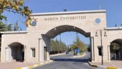mersin-universitesi-43-ogretim-uyesi-ile-4-arastirma-ve-ogretim-gorevlisi-alacak.jpg