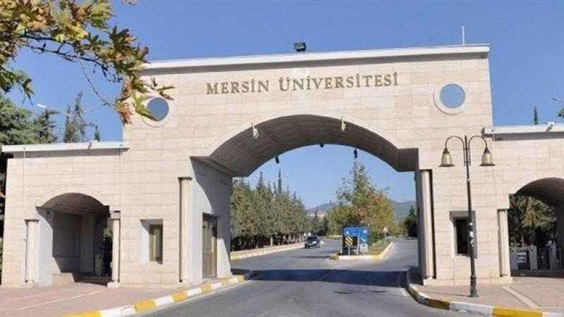 mersin-universitesi-43-ogretim-uyesi-ile-4-arastirma-ve-ogretim-gorevlisi-alacak.jpg