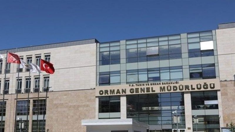 orman-genel-mudurlugu-131-gecici-isci-alacak-1672301737.jpg