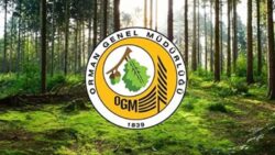 orman-genel-mudurlugu-249-sozlesmeli-personel-alacak-1672814978.jpg