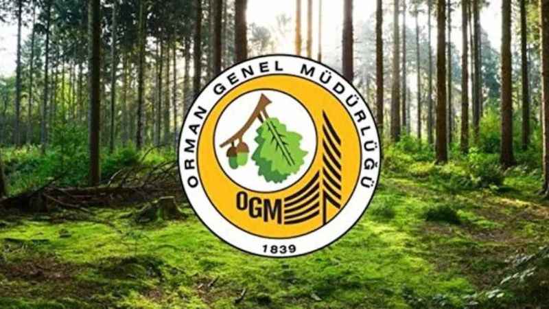 orman-genel-mudurlugu-68-surekli-isci-alacak-1713418844.jpg