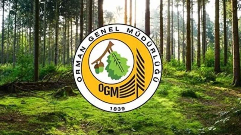 orman-genel-mudurlugu-9-gecici-isci-alacak-1731651331.jpg