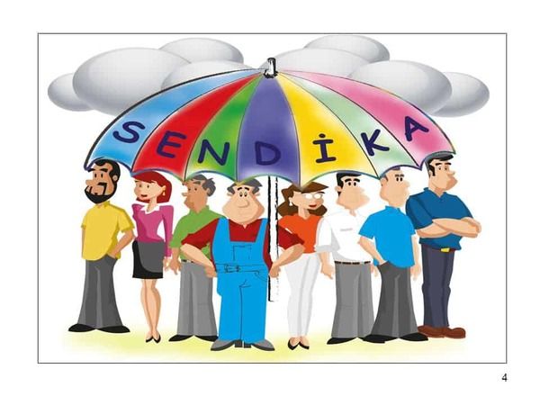 sendika-1.jpg