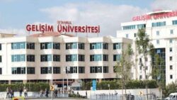 stanbul-gelisim-universitesi-7-ogretim-uyesi-ile-3-arastirma-gorevlisi-alacak.jpg