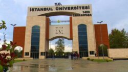 stanbul-universitesi-cerrahpasa-rektorlugu-4-sozlesmeli-personel-alacak.jpg