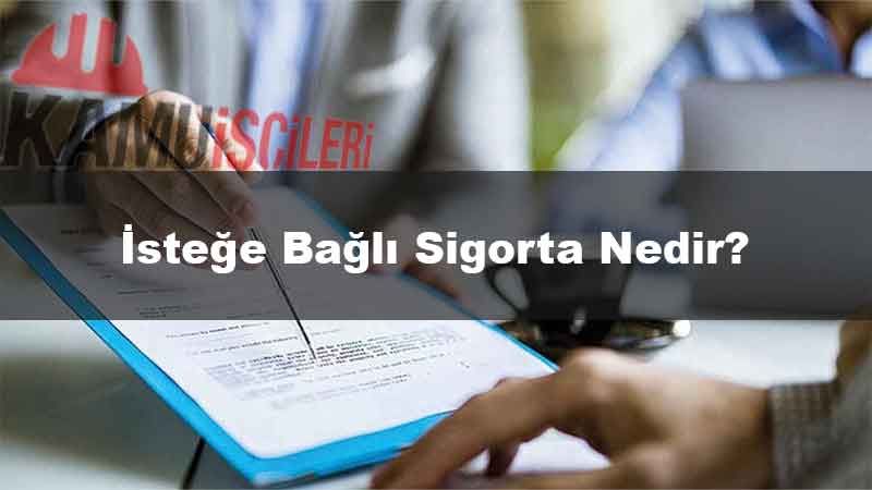 stege-bagli-sigorta-nedir.jpg