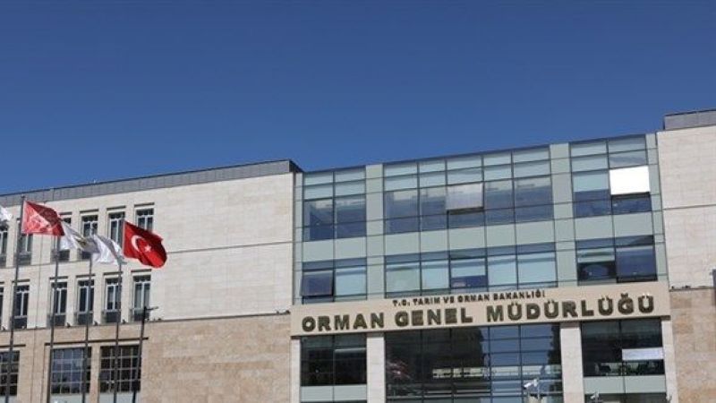 tarim-ve-orman-bakanligi-orman-genel-mudurlugu-1128-sozlesmeli-memur-alacak-1672895995.jpg