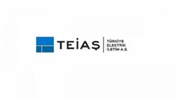 turkiye-elektrik-iletim-as-genel-mudurlugu-53-surekli-isci-alacak-1658733667.jpg