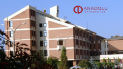 Anadolu Üniversitesi 1 Sözleşmeli Bilişim Personeli Alacak